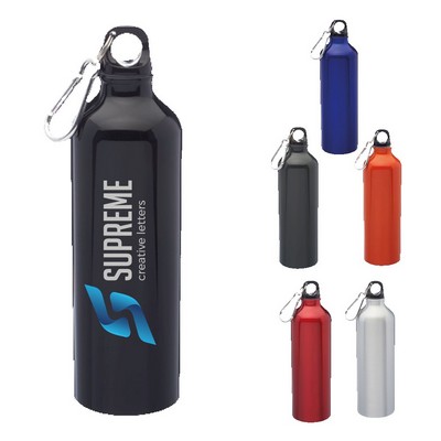 Sports Bottle with Carabiner and Twist Cap - Aluminum Water